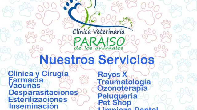 531869955_1337397908386420_4362567511374799493_n