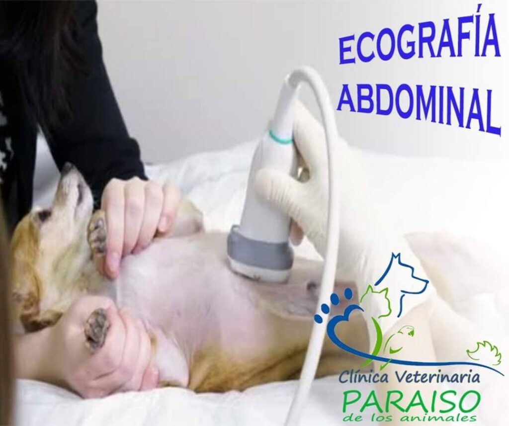 532236996_1337398061719738_6689870375143311540_n