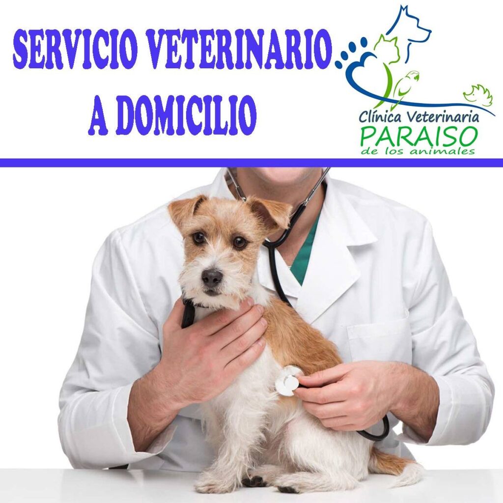 532361925_1337398005053077_6864545554160972537_n