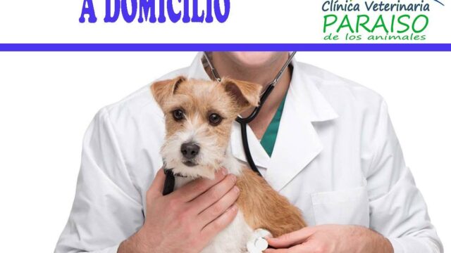 532361925_1337398005053077_6864545554160972537_n