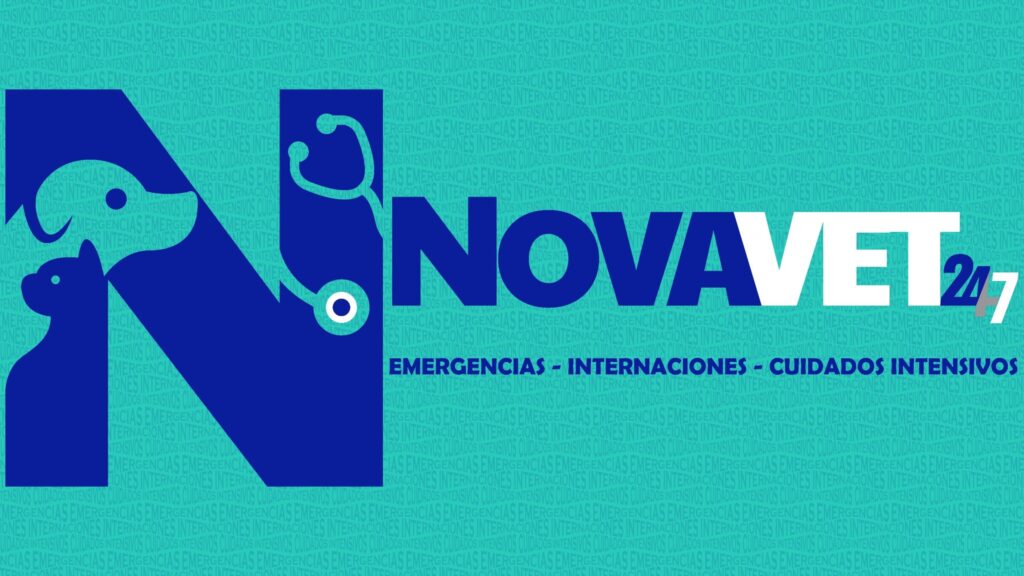 533078123_122131385900875250_6447979315507820009_n