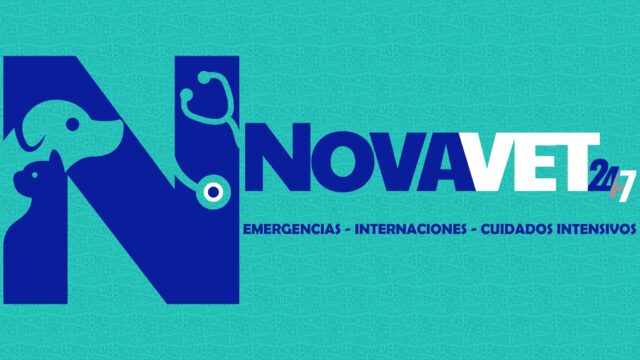 533078123_122131385900875250_6447979315507820009_n