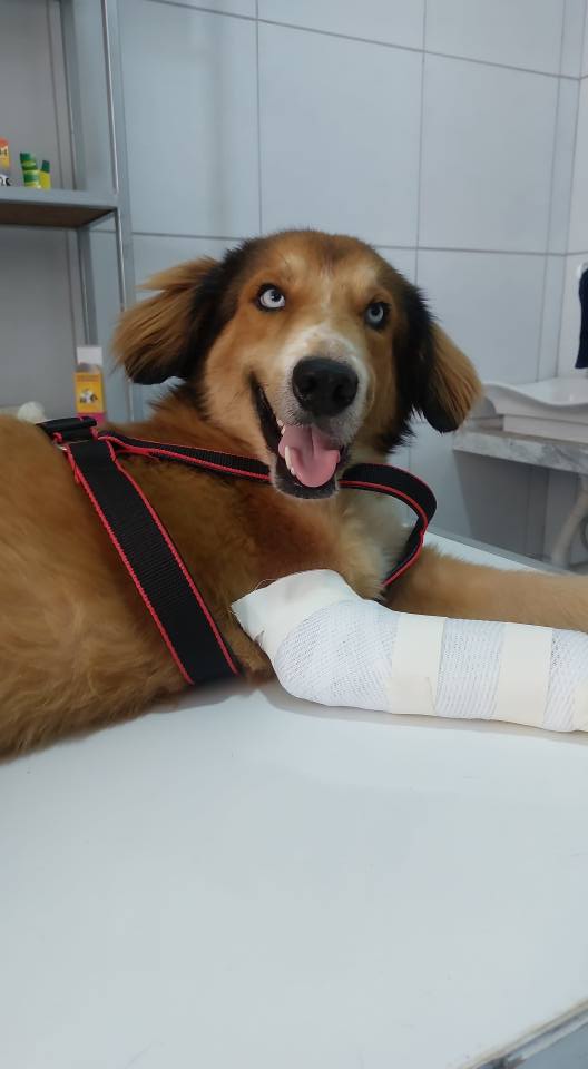 533487186_1223760726219346_546985716190374591_n