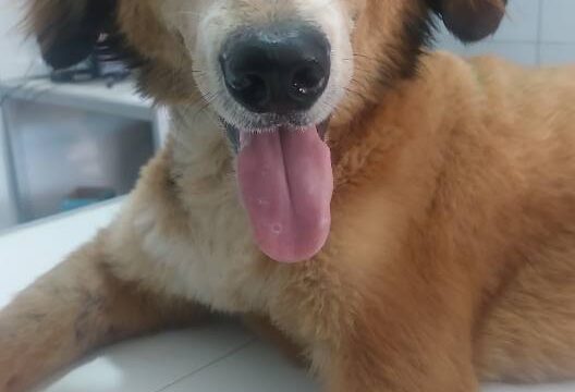 534916516_1223760796219339_5205332004080981032_n