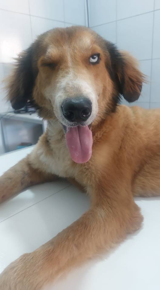 534916516_1223760796219339_5205332004080981032_n