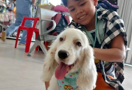 535032508_1223760629552689_8289803724172026795_n