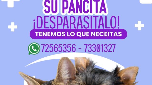 535927575_744191391705146_5799756963249001043_n