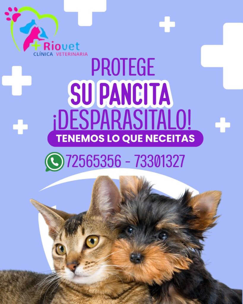 535927575_744191391705146_5799756963249001043_n