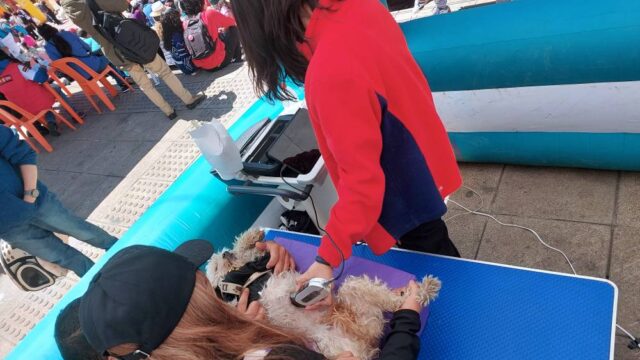 536274061_122134982264875250_2438693770314051916_n