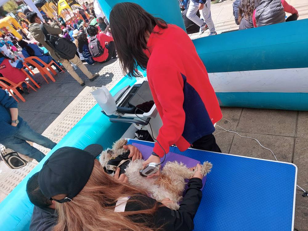 536274061_122134982264875250_2438693770314051916_n