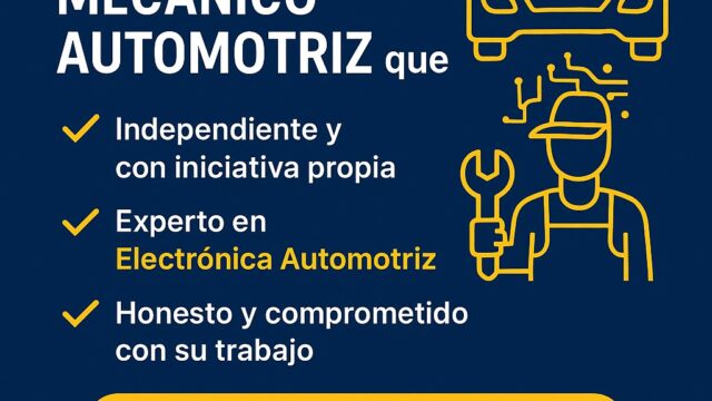 536877205_122228144210088061_392386274140825296_n