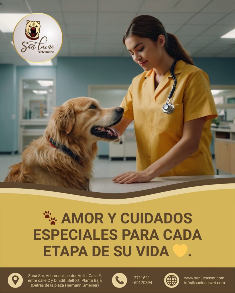 538940120_1622817575826142_9106948857490824946_n