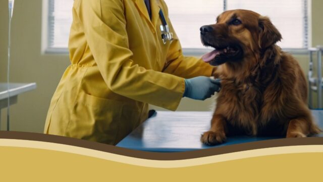 538976700_1622828685825031_8339688713443451643_n