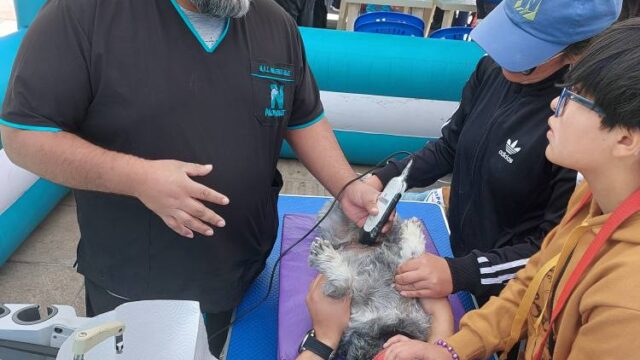 539348151_122134982414875250_2284175512178560358_n