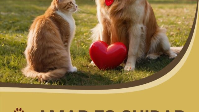 539557988_1628869145220985_5149655052946513441_n