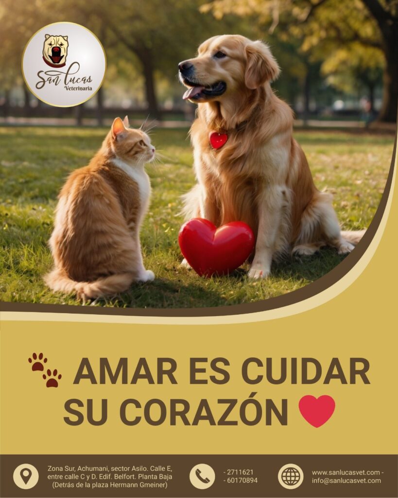 539557988_1628869145220985_5149655052946513441_n