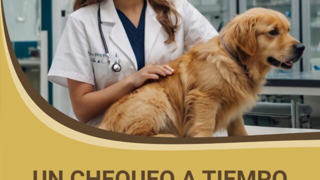 539601864_1622811015826798_2228108584067565781_n