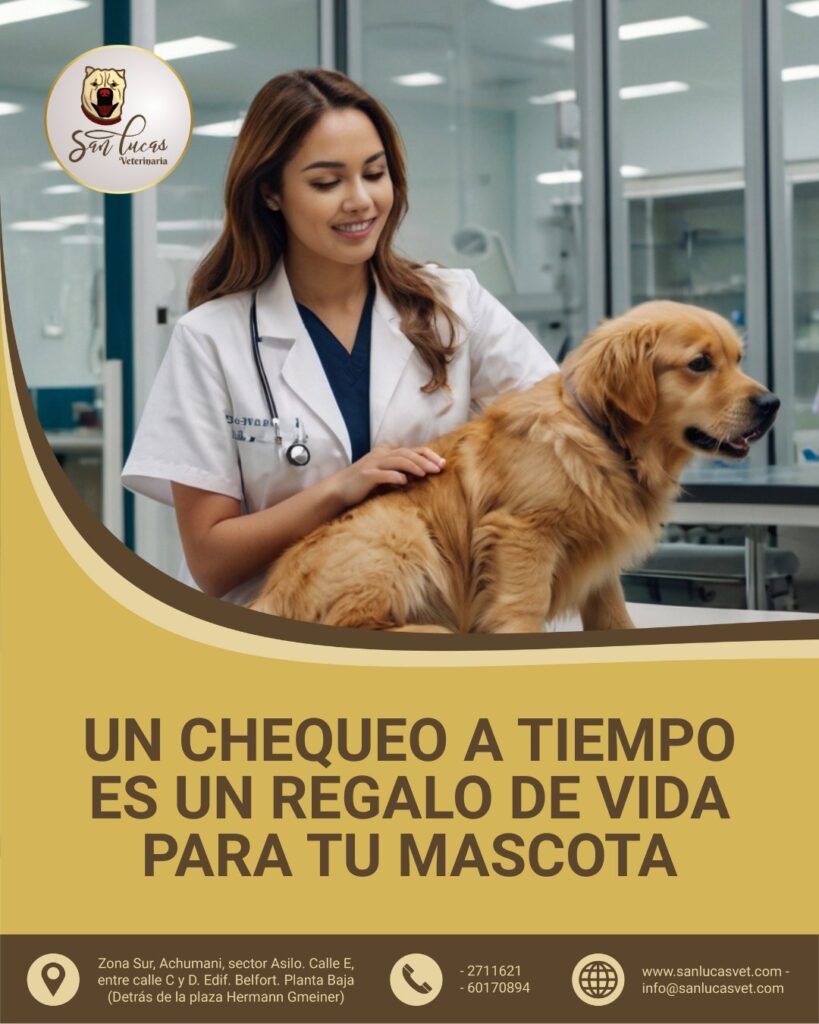 539601864_1622811015826798_2228108584067565781_n