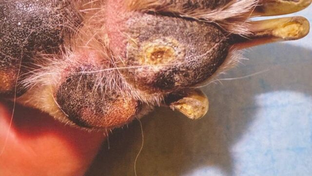 539760992_809629761591855_5184429458804811145_n