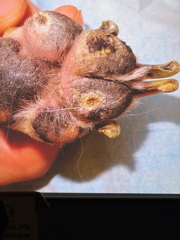 539760992_809629761591855_5184429458804811145_n