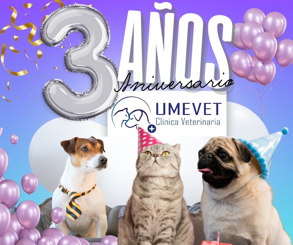 539776233_750619744448902_4659314892025222778_n