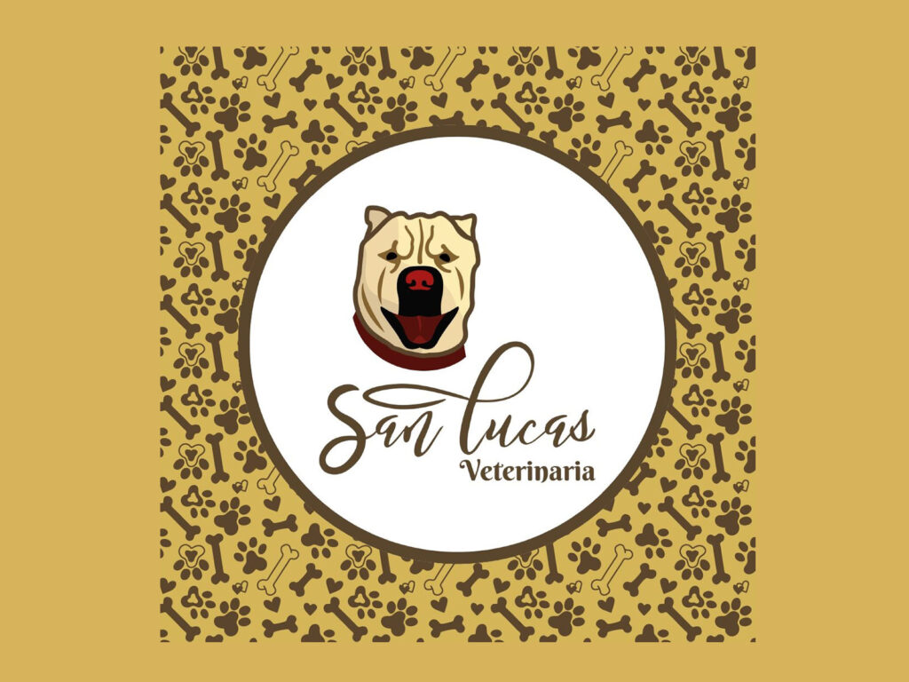 San Lucas Veterinaria