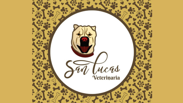 540481746_1628759901898576_5983656211490940462_n