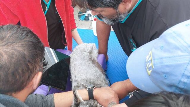 540526422_122134982120875250_2771220530169449330_n