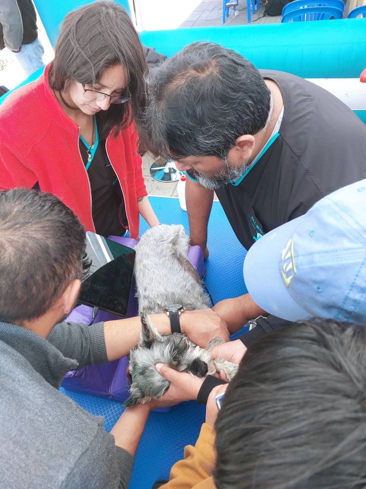 540526422_122134982120875250_2771220530169449330_n