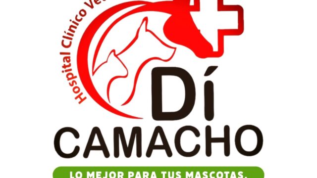 540756737_1319922019924087_7871620903032180668_n