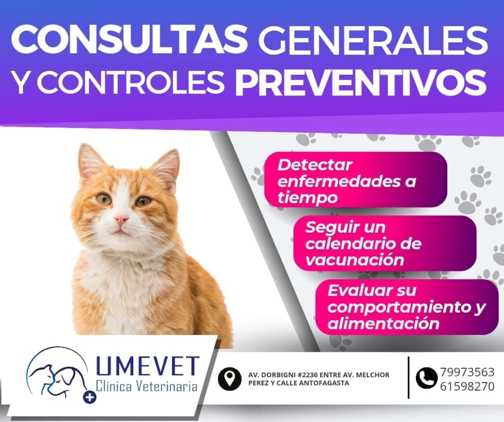 540873067_750943691083174_2104521962717077143_n