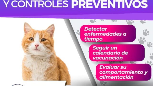 540873067_750943691083174_2104521962717077143_n