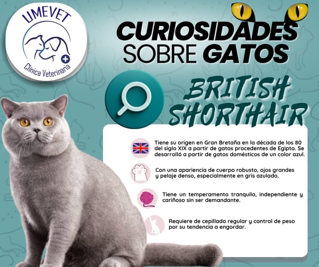 540928457_750942931083250_1089437460519261511_n