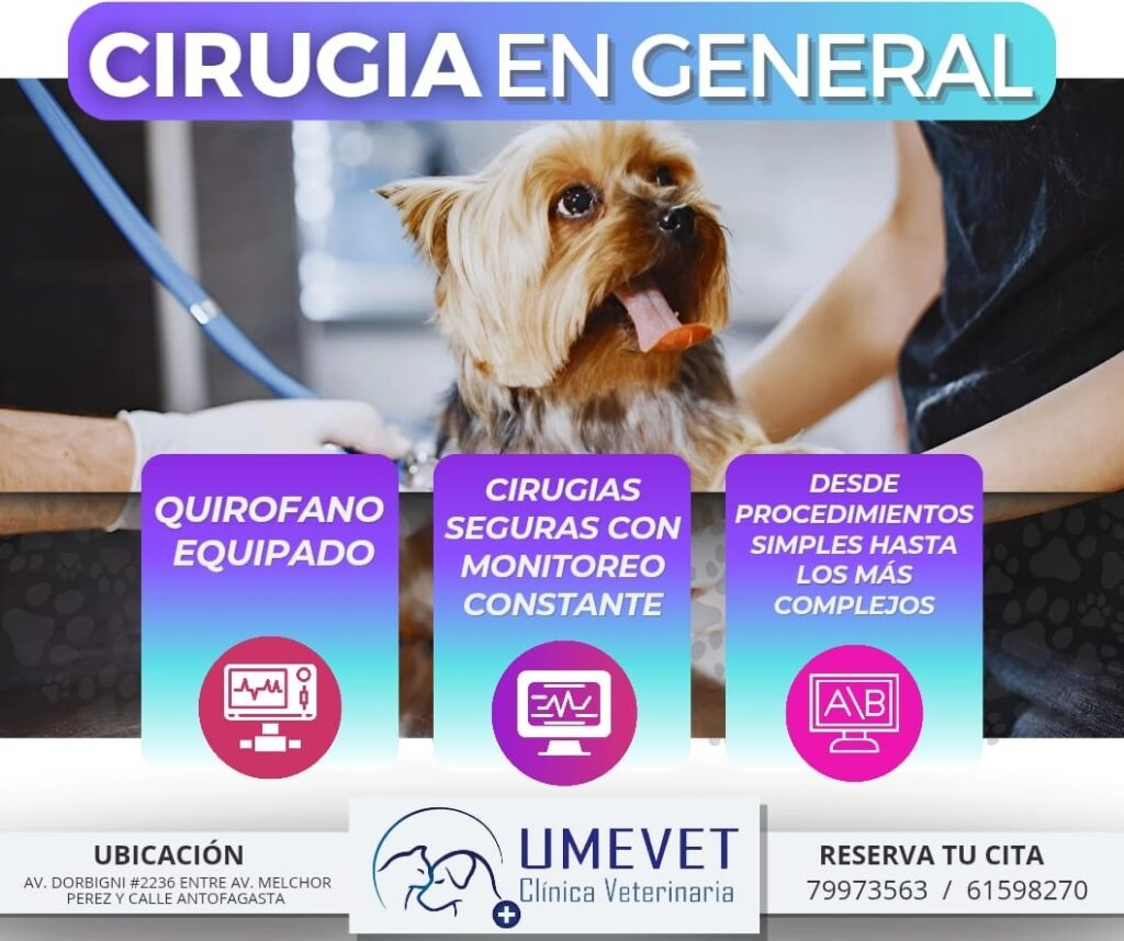 540944748_750942351083308_2279389469279360205_n