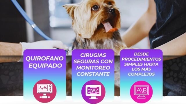 540944748_750942351083308_2279389469279360205_n