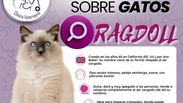 541144170_750943321083211_6282688850330719181_n