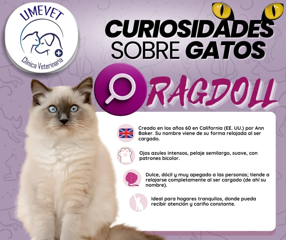 541144170_750943321083211_6282688850330719181_n