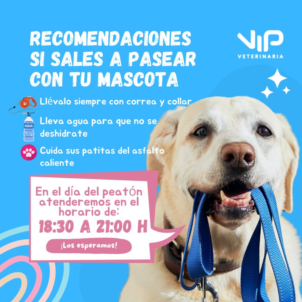 541681761_1431134205401066_6004588461004592969_n