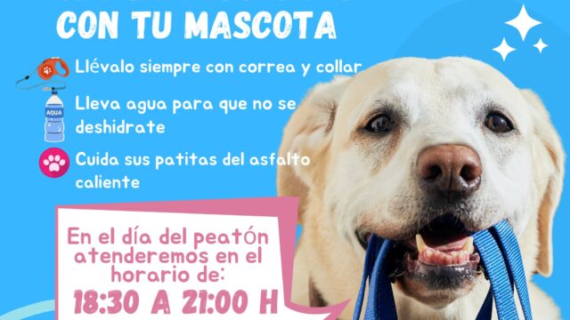 541681761_1431134205401066_6004588461004592969_n