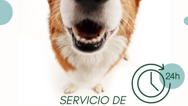 544429034_1319326600203734_742448642994798671_n