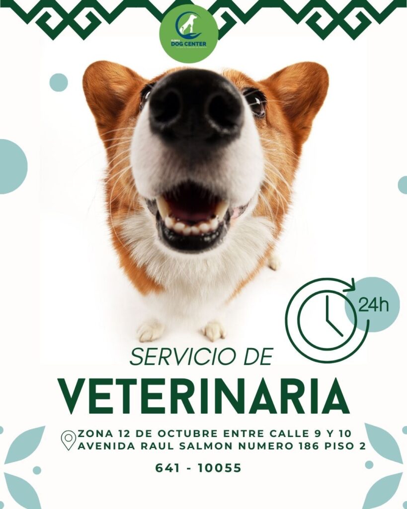 544429034_1319326600203734_742448642994798671_n