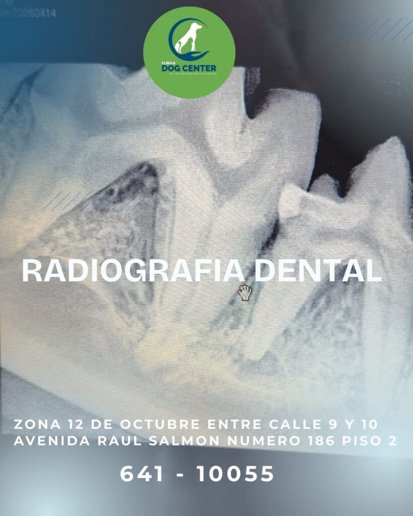 545299251_1320115753458152_2299544673653368669_n