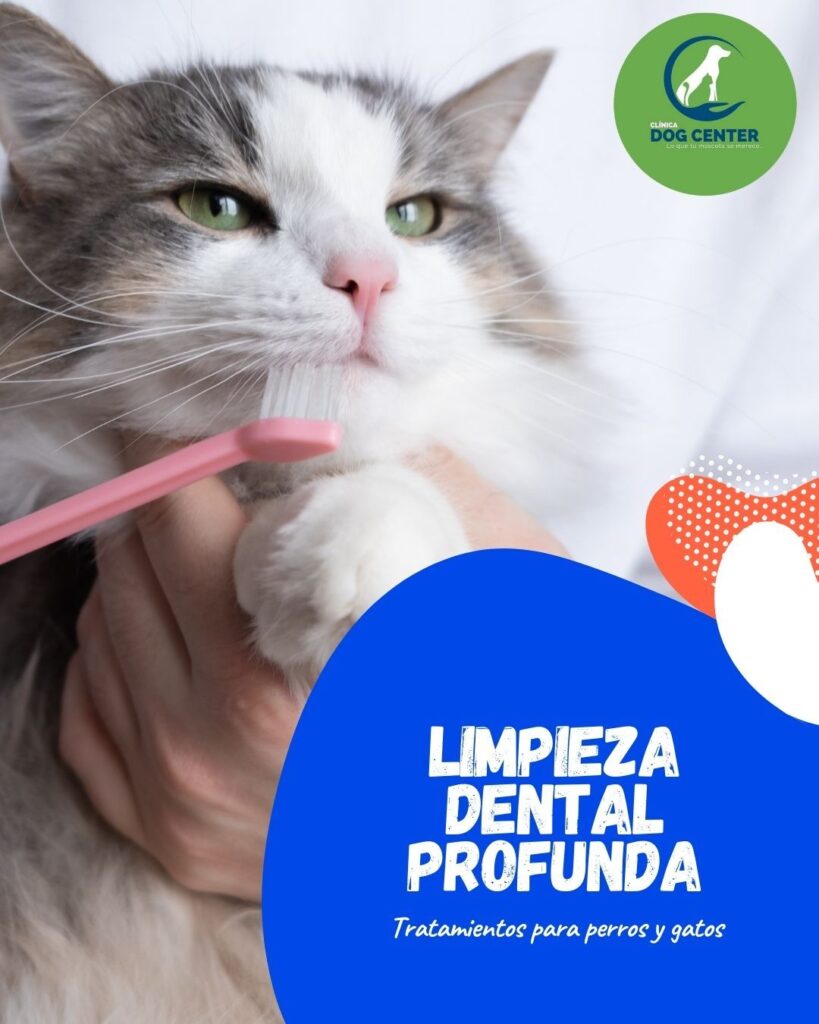 546163234_1320680840068310_4574741892312929852_n