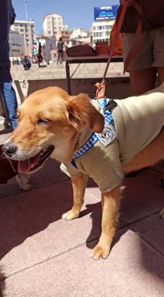 548463544_1209274501234149_1803899575521518478_n