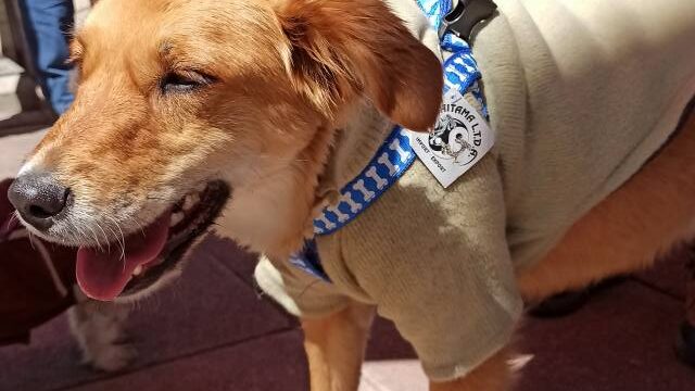 548463544_1209274501234149_1803899575521518478_n