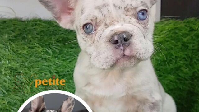 550148794_122141915738644714_2769189123343876939_n