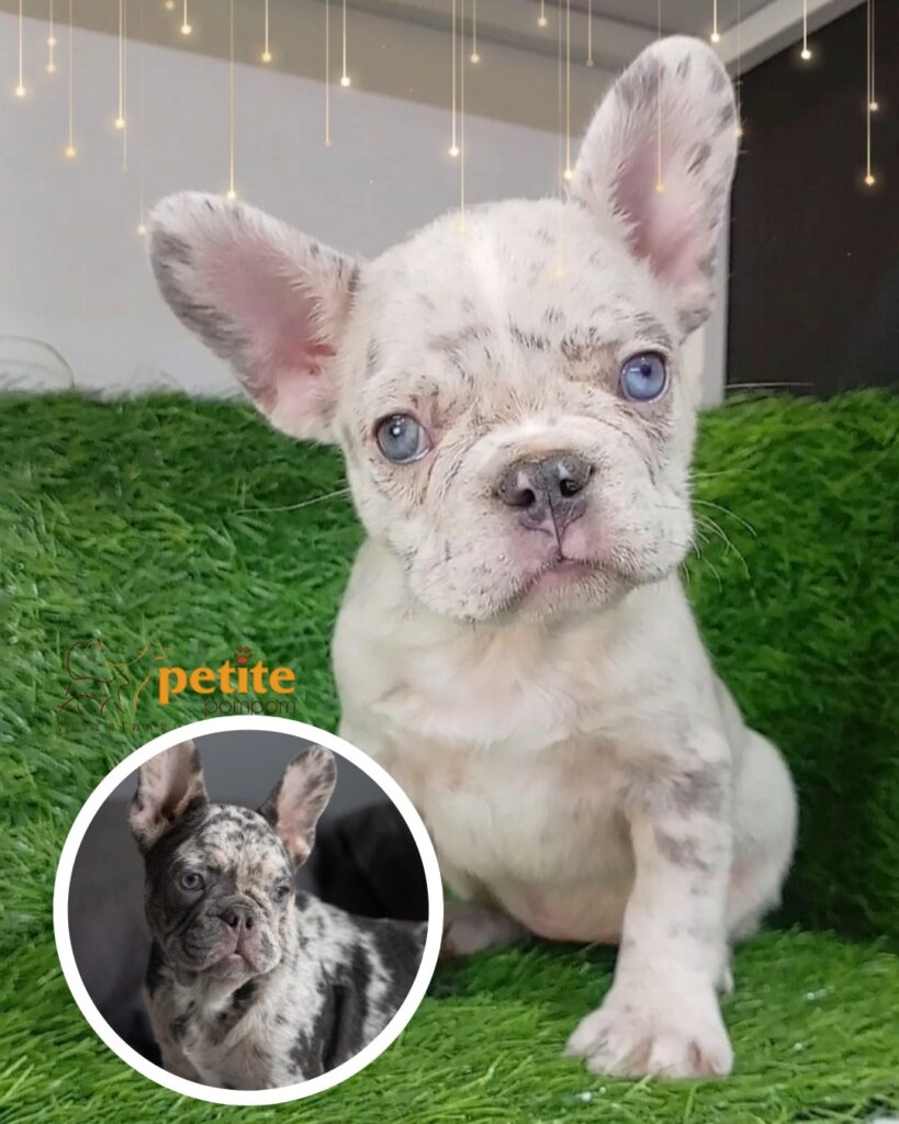 550148794_122141915738644714_2769189123343876939_n