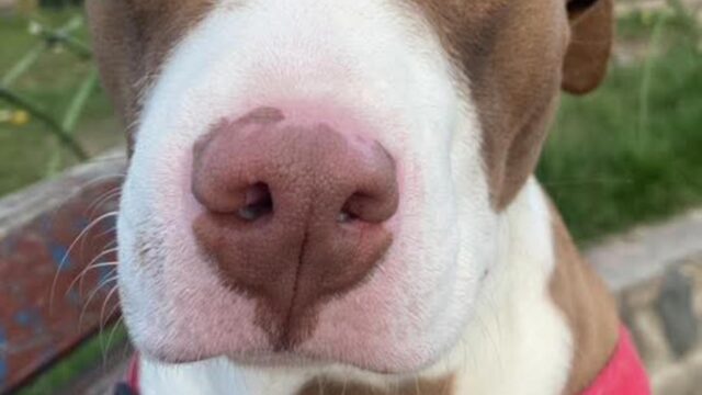 550435978_1314671313780044_224889967921387509_n