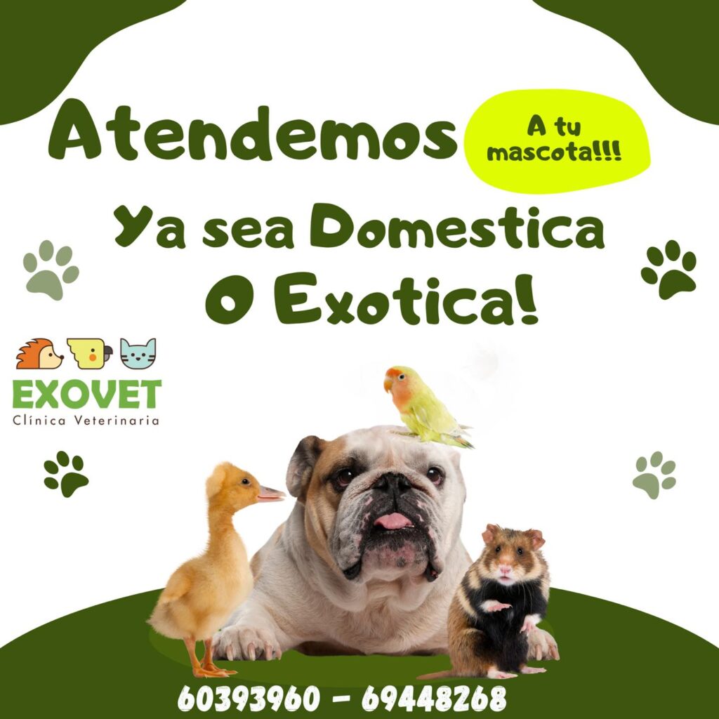 550503879_1355909923211181_3393464842637116494_n