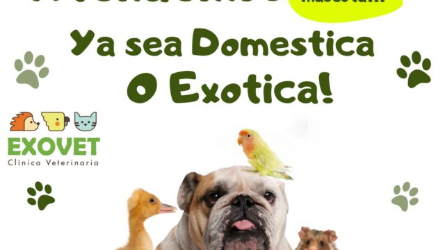 550503879_1355909923211181_3393464842637116494_n